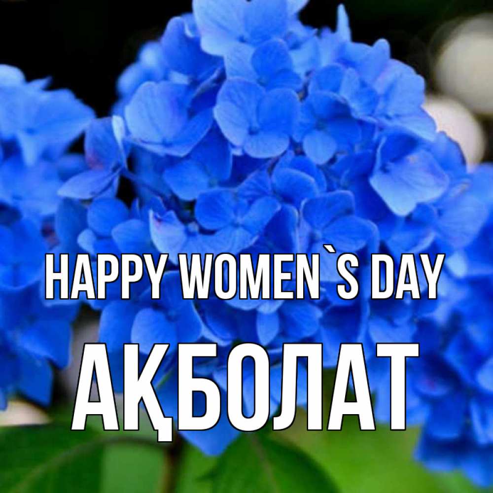 Greetings card с именем, Ақболат happy women`s day синие цветы Greetings with text for free download 